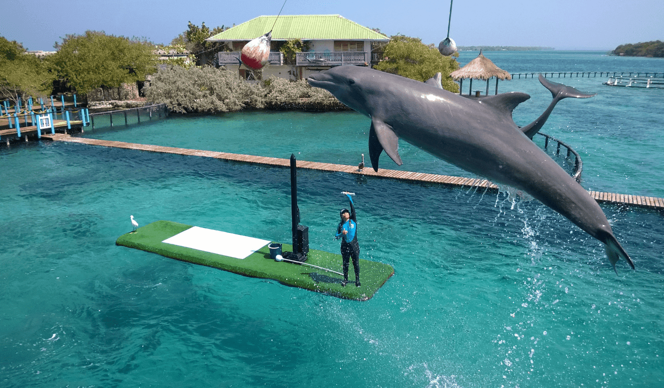 oceanario en islas del rosario en 2023